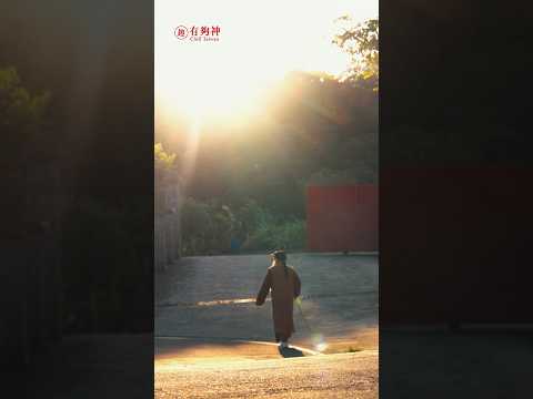 你知道台灣土地公最密集的城市在哪裡嗎？#趣台灣 有夠神 EP3 11/23（日）中午12點就在民進黨YT頻道，一起收看！