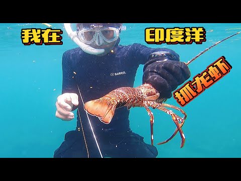 《环球探海记》坦桑尼亚~第40天:今天现抓现吃的晚餐有大龙虾、蓝星斑、红友鱼!