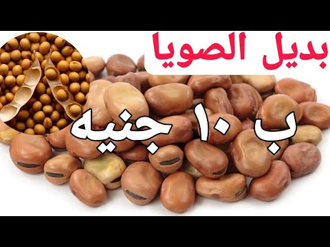 ارخص بدايل الصويا وحساب سعر وحدة البروتين في كل نوع ،،وازاي اظبط نسبتها في العلف؟