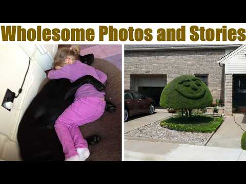 Wholesome Photos and Stories That Can Instantly Brighten Your Day