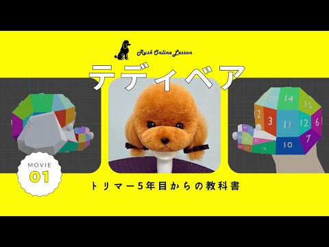 【保存版】テディベアカット完全解説｜トリミング初心者〜上級者向け｜トイプードルの顔カットを1面ずつ丁寧に解説