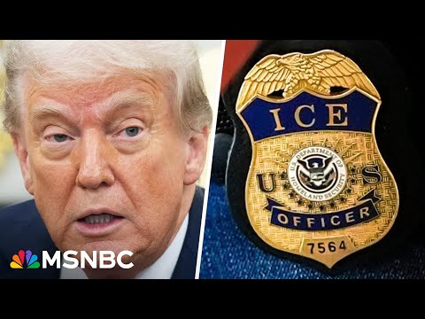 'Communities are in fear': Immigrant advocate says Trump admin is disregarding due process