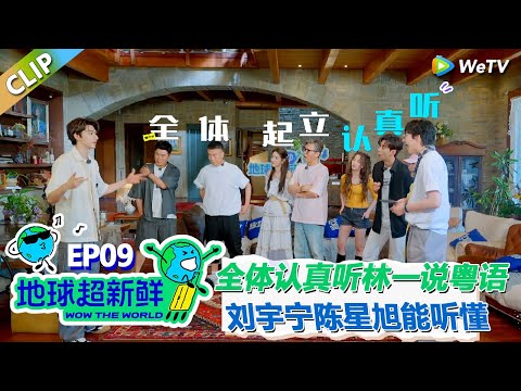 【地球超新鲜CLIP】：笑不活了！全体起立认真听林一说粤语！刘宇宁陈星旭翻译林一粤语震惊陈赫！#刘宇宁 #龚俊 #陈赫 #李乃文 #孙红雷