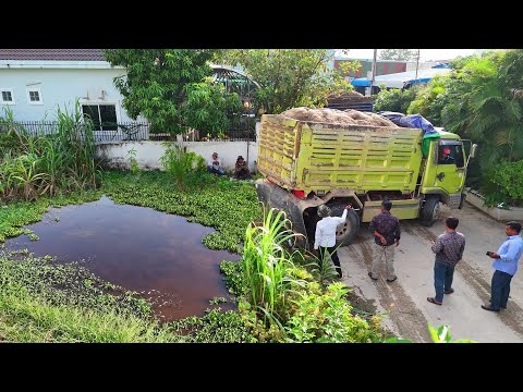 On the lookout! Start New Landfill Using Dump Truck pour soil with Dozer KOMATSU PUSHING SOIL