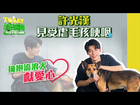 許光漢獻暖 見創傷毛小孩難過哽咽  | TODAY特派員 | LINE TODAY