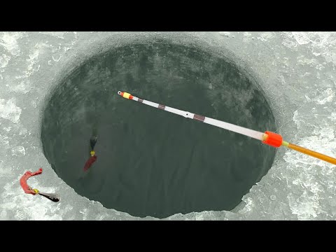 FAINT-HEARTED GUARDS... REAL BIG FISH ON AN OLD ROD! Fishing like a dream. Winter fishing 2025