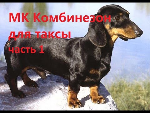 МК КОМБИНЕЗОН ДЛЯ ТАКСЫ #1 ЧАСТЬ