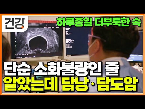 "대수롭지 않게 여겼는데..." 가볍게 생각했던 증상이 불러온 비극｜알려지지 않아 더 무서운 병｜담낭·담도질환 원인과 치료 과정｜명의｜#EBS건강