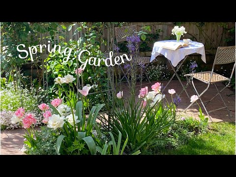 A Compilation of my Spring Garden | Have you planted your Spring Bulbs?