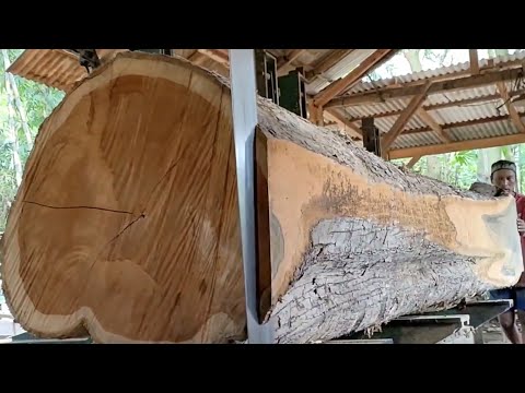 Amazing! Cutting a giant teak log at a sawmill 