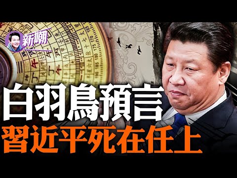 神秘预言：中共最后一任领导人将崩在任上！破解习近平面相吉凶！他是全世界最怕死的领导人！『新聞最嘲點 姜光宇』2023.0826