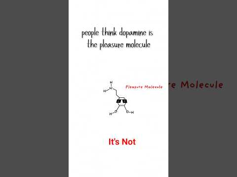 Why You Can't Focus (It's Not Laziness) #Dopamine #adhd #motivation