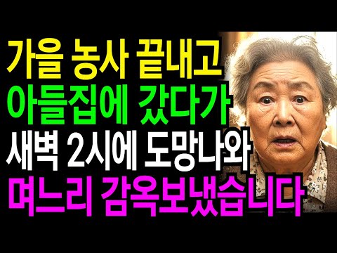 가을 농사 끝나고 서울 아들집에 갔다가 새벽 2시에 도망 나와 며느리 감옥 보냈습니다