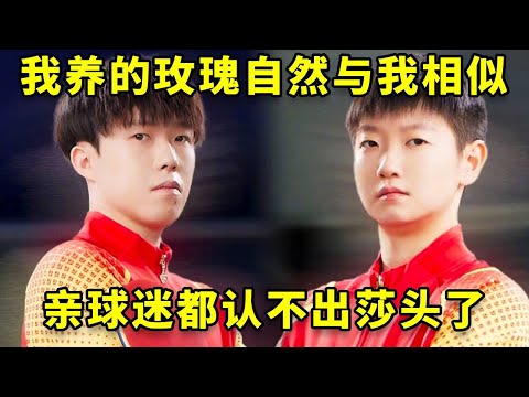 我亲手养的玫瑰自然与我有几分相似，莎头已经到了亲球迷都认不出的程度#王楚钦 #孙颖莎 #国乒