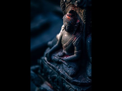 РЕИНКАРНАЦИЯ 🔥 Лакшми Нараяна Прабху ( Леонид Тугутов )