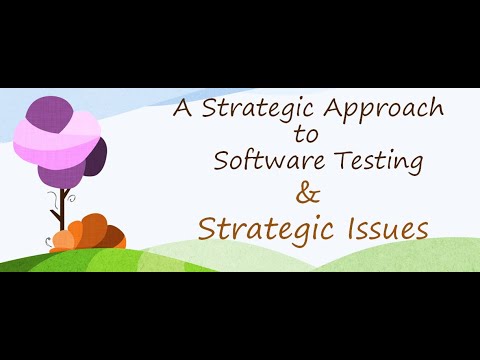 A Strategic Approach to Software Testing , Strategic Issues
