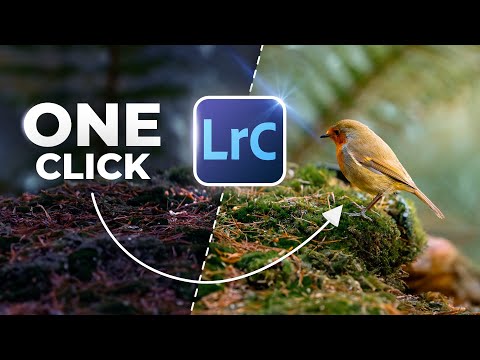 THIS One Tool Will Save You Hours In Lightroom