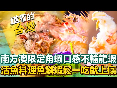 【2025最新】宜蘭40年老店「南方澳限定角蝦」蝦肉Ｑ彈有勁口感不輸龍蝦！百變活魚料理「魚鱗蝦鬆」一吃就上癮？｜陳怡廷 (宜蘭、桃園、南投、雲林、嘉義必吃美食)《進擊的台灣》第590集