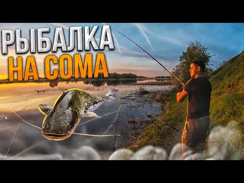 РЫБАЛКА НА СОМА.С ночевкой на берегу реки Волга.