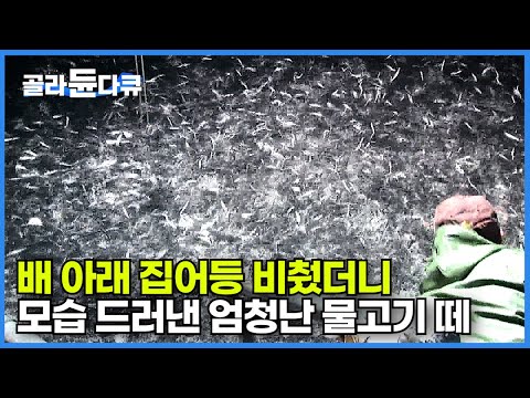 새벽 3시 3일째 이어지는 흉어. 갑판 아래 집어등 비췄더니 모습 드러낸 엄청난 물고기 떼!┃추자도 앞바다는 7대의 멸치어선의 총칼 없는 전쟁터┃만선 멸치잡이┃극한직업┃#골라듄다큐