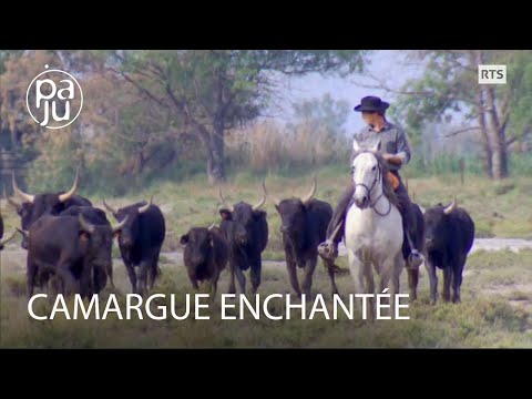 Pionnier de l'écologie, Luc a créé une réserve naturelle en Camargue