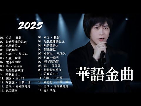 2025年度最火🎶 華語流行歌曲TOP榜【抖音+KKBOX爆紅合集】🔥 任性 — Mayday, 我们别再错过 — 王晴晴, 黑玻璃 — Kaho Hung, 星期五晚上 — Energy