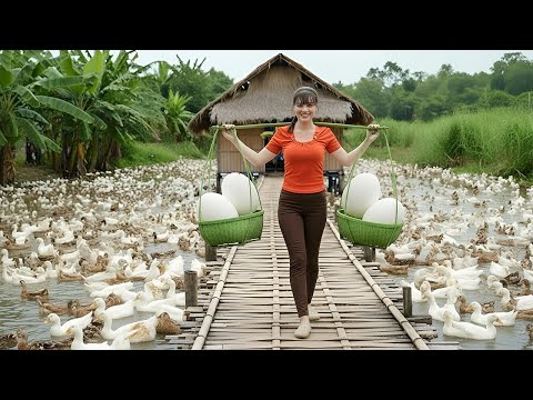 Cosecha de Muchos Huevos de Pato | Triciclo de Tres Ruedas al Mercado del Pueblo