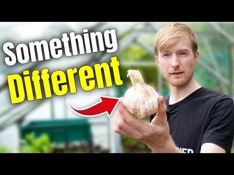 Look What I Got From The Malvern Autumn Show! 