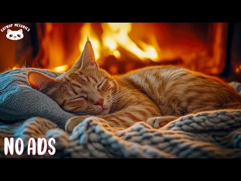 Calming Music for Cats With Anxiety 🐾🎵 Soothing Sounds For Deep Sleep, Healing Insomnia, Relaxing