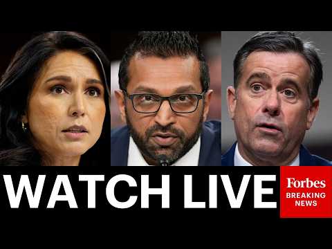 LIVE: Tulsi Gabbard, Kash Patel, John Ratcliffe Testify Before House Amid Ongoing War With Iran