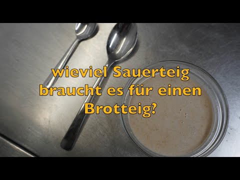 Sauerteig Profiwissen   wie viel Sauerteig braucht es um einen Brotteig zu säuern?