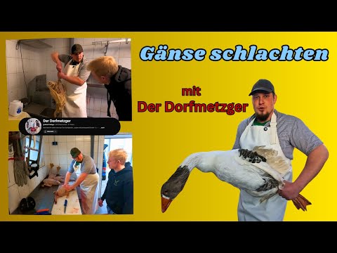 🦆 Gänse-Hausschlachtung mit Der Dorfmetzger – Vom Tier zum Produkt 🔪