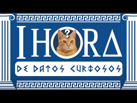 1 HORA de DATOS CURIOSOS y COSAS QUE NO SABÍAS ⏰😲