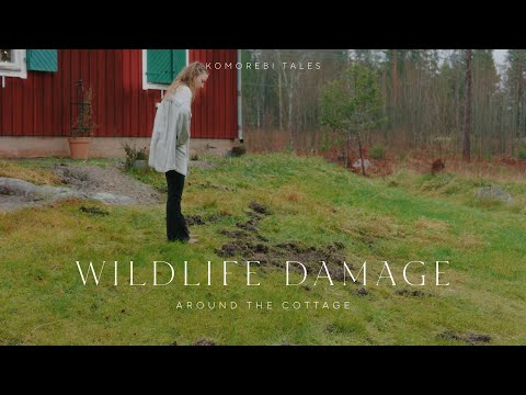 Woke up to a Sad Surprise #55