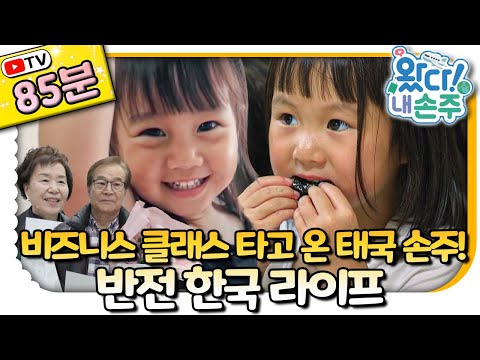 🇹🇭태국 손주 모아보기🇰🇷｜#Thailand｜👵🏻TV로 보는 왔다! 내 손주🧓🏻｜국제가정｜리얼리티｜EBS키즈｜[EBS놀이터]