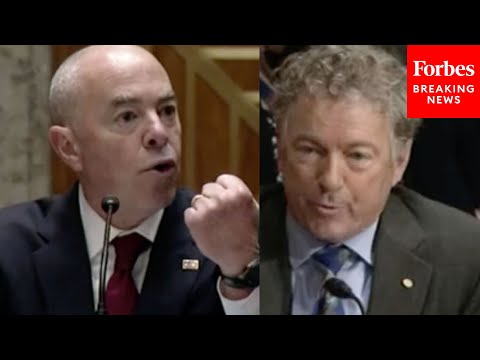 'You've Got No Idea What Disinformation Is!': Rand Paul Tears Into Mayorkas
