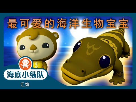 海底小纵队 - 🦦 最可爱的海洋生物宝宝 🐬 | 汇编 | 集完整版
