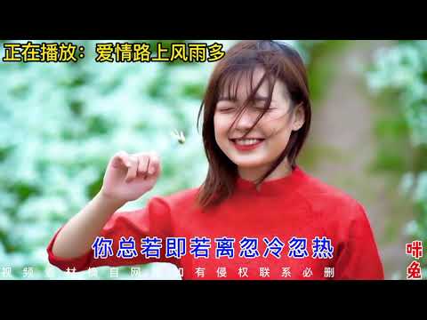 全网爆红DJ神曲大碟，首首洗脑《受了伤的狼》《爱情路上风雨多》