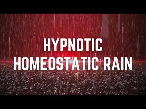 HYPNOTIC HOMEOSTATIC RAIN | 12 Hours | Black Screen | No Midway Ads | Sleep/ Relax/ Calm Anxiety