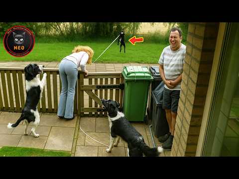 Los errores más estúpidos captados en cámara | Lo mejor del mes #3