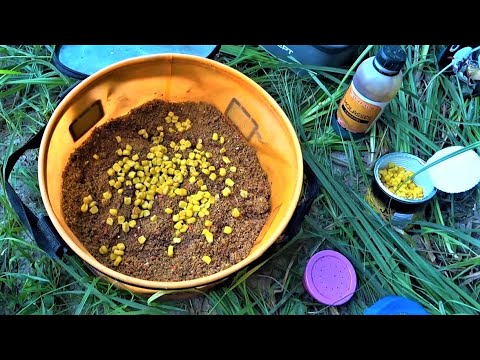 What's on Feeder now? Fishing on Desna