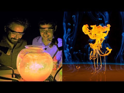 DPReview TV: Ultraviolet (UV) Macro Photography with Don Komarechka