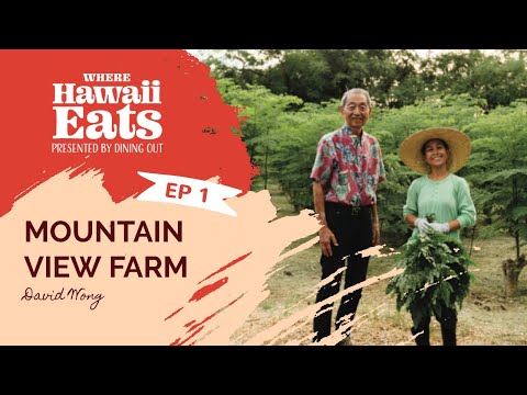 Moringa herbal healing superfood - How it's made