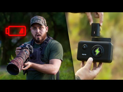 5 Accesorios que TODO Fotógrafo de vida salvaje debería tener 📸🦦