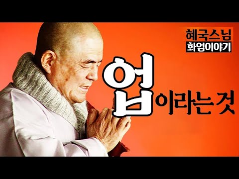법문🙏|#혜국스님| 업이라는 것에 대해 #화엄이야기 (7회)