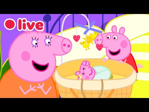 🔴 Peppa Wutz LIVE! BABY EVIE Episoden 🍼 Die Besten Momente von Evie 🥹 Cartoons für Kinder