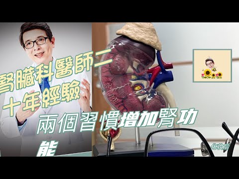 【EP1】腎臟專科科醫師二十年臨床經驗發現：慢性腎衰竭持續兩個習慣，三個月後就可明顯提升腎絲球過濾率#慢性腎衰竭#洪永祥醫師#正確喝水#尿毒症#腎衰竭#腎臟#保護腎臟