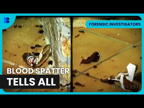 When a Husband’s Alibi Doesn’t Add Up | Forensic Investigators