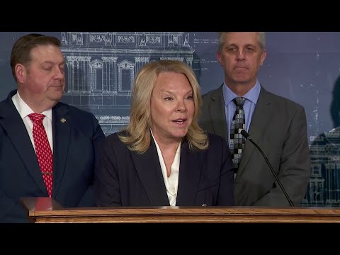 Minnesota lawmakers propose 100% tax on stolen state money