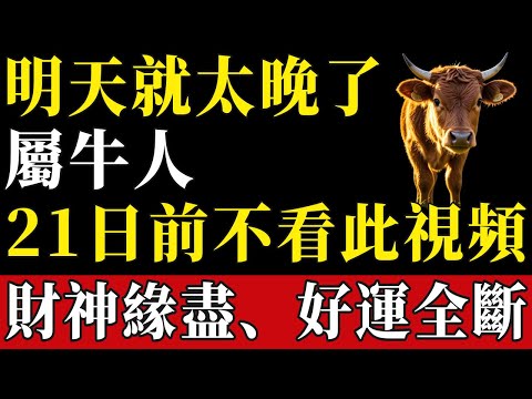 屬牛人注意！明天就太晚了！12月21日前不看此視頻，財神緣盡、好運全斷！#陳天師玄訣 #生肖#家運 #運勢 #風水 #財運 #命理#屬相運勢